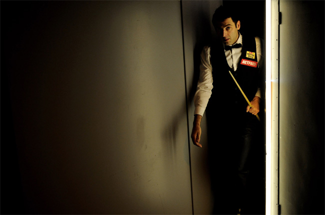 特兰的故事 特兰的故事